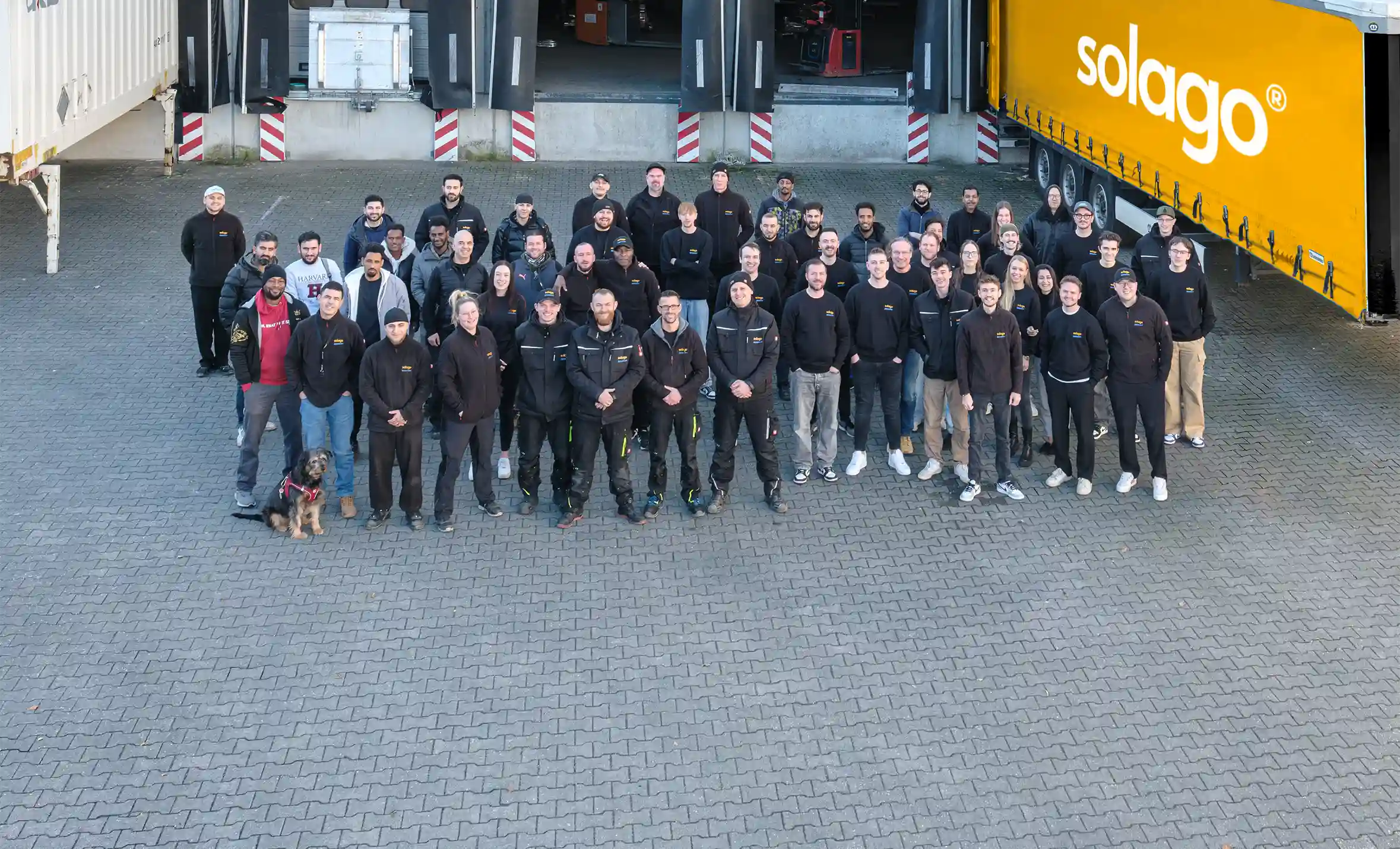 Das Solago Experten-Team